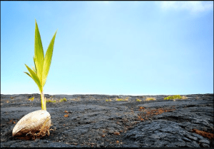 Screen Shot 2014-01-19 at 7.47.38 am