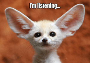 feedback-im-listening